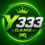 Y333 Game
